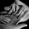 Anno Famiglia